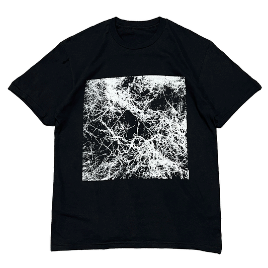 WEB